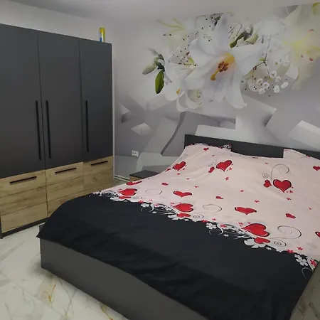 Casa Andreea Holiday home Corbu (Constanta)